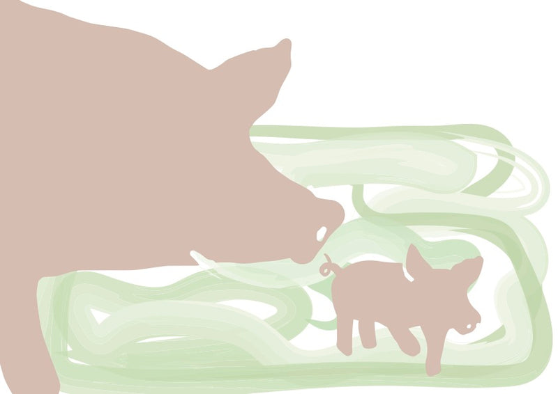 Dyrevelfærden skal forbedres